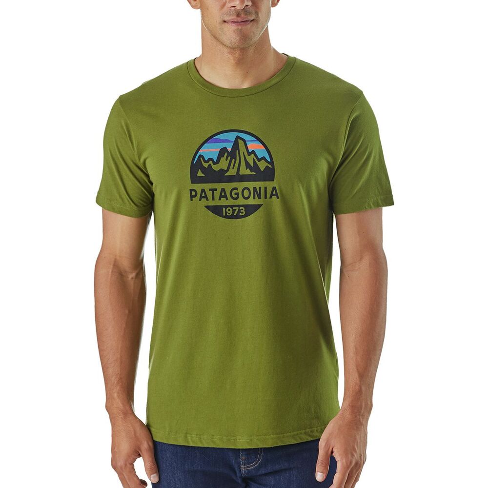 Patagonia share Patagonia Fitz Roy Scope Organic Cotton In Olive Green M